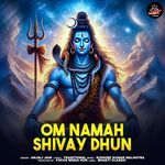Om Namah Shivay