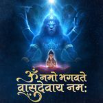 Om Namo Bhagwate Vasudevay Namah