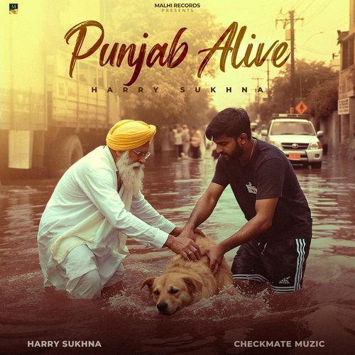 Punjab Alive
