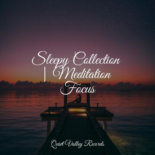 Sleepy Collection | Meditation Focus