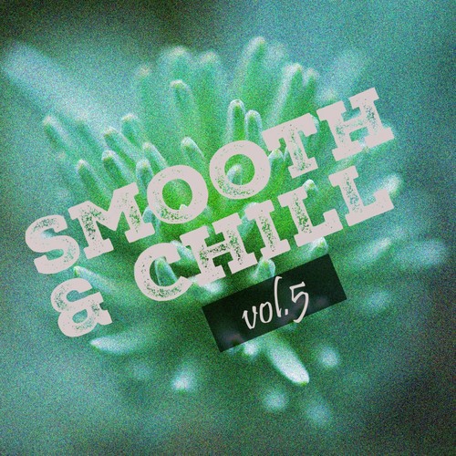 Smooth & Chill, Vol. 5