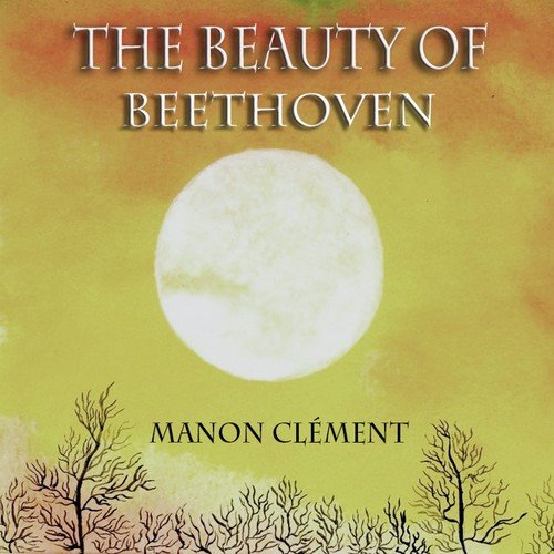 The Beauty of Beethoven