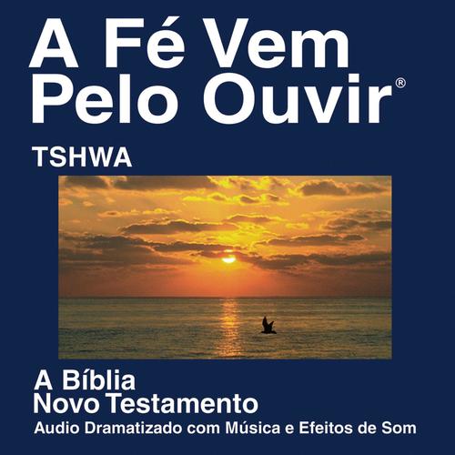 Xitshwa do Novo Testamento (Dramatizada) - Xitshwa Bible