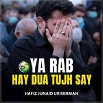 Ya Rab Hay Dua Tujh Say