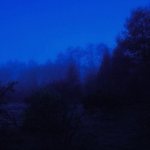 losing you cover art
