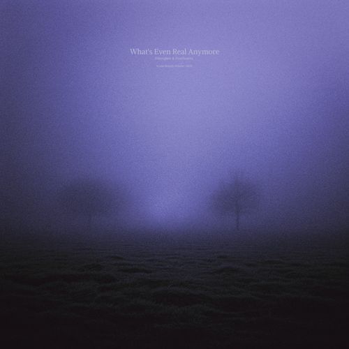 what's even real anymore (slowed + reverb)