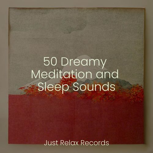 50 Dreamy Meditation and Sleep Sounds