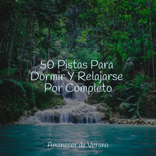 50 Pistas Para Dormir Y Relajarse Por Completo