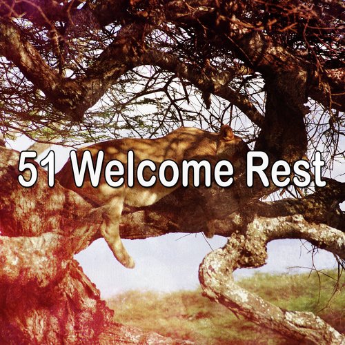 51 Welcome Rest