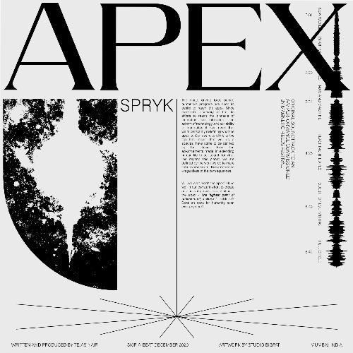 Reaching The Apex (Original Mix)