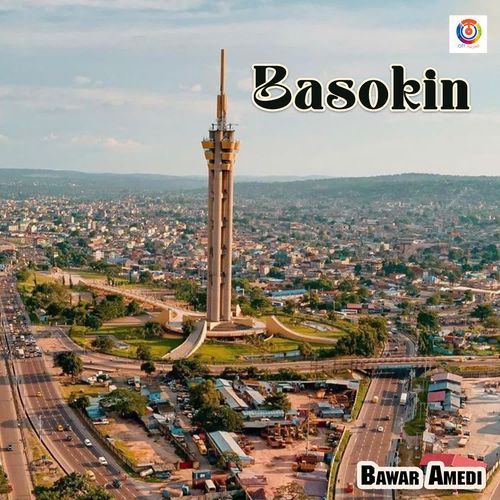 Basokin