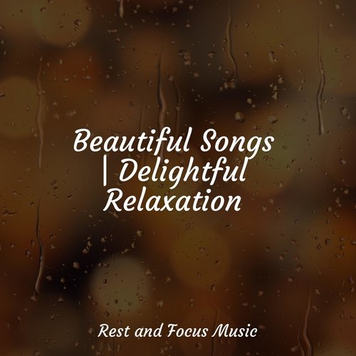 Beautiful Songs | Delightful Relaxation