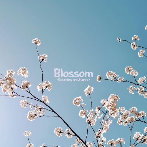 Blossom