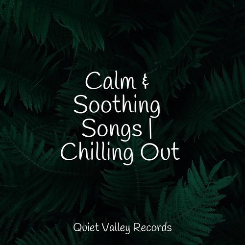 Calm & Soothing Songs | Chilling Out