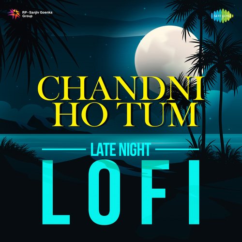 Chand Mera Dil Chandni Ho Tum - Lofi