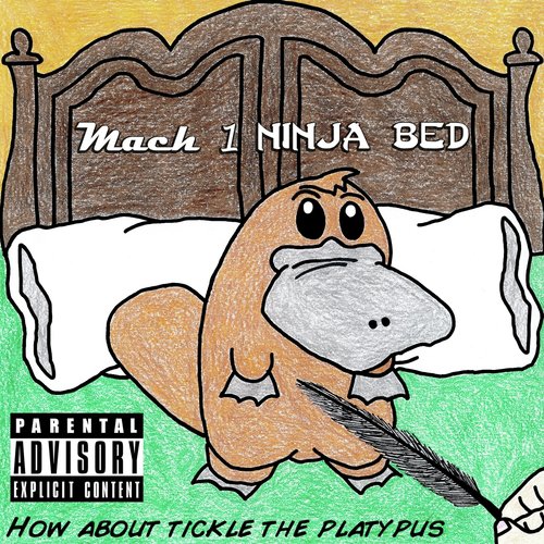 Stap cover art
