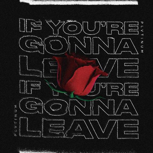 If You&#039;re Gonna Leave_poster_image