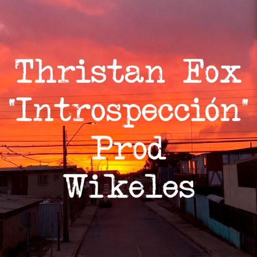 Introspección
