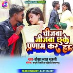 Jijwa Chijwa Chuke Pranam Kara Hau