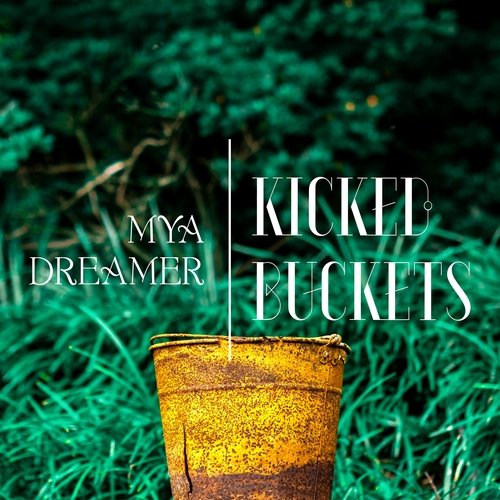 Kicked Buckets