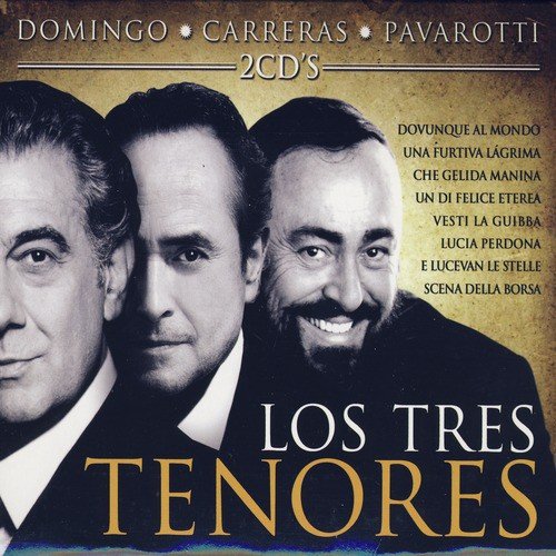 Brindisi: Libiamo, Libiamo Ne' Lyrics - Placido Domingo - Only on