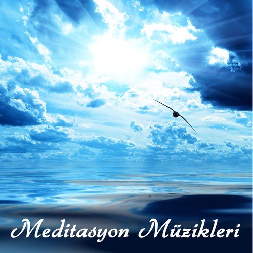 Meditasyon (Meditasyon Müzikleri: Flüt, Gitar ve Doğa)_poster_image