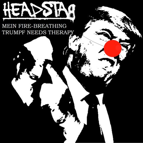 Headstag