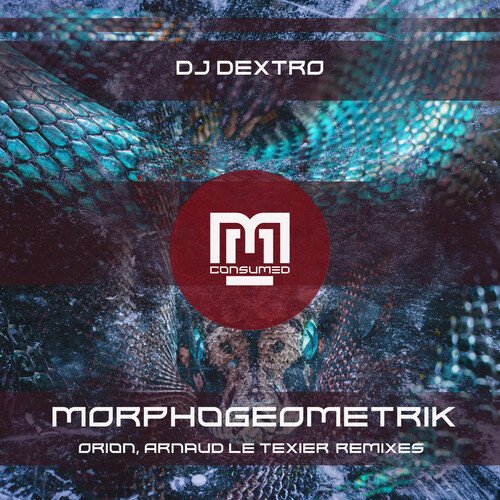 Morphogeometrik (Arnaud Le Texier Remix) cover art