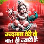 Nandlaal Teri To Baat Hi Nyari Hai