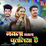 Navla Navla Putliya Chhe