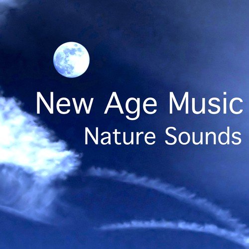 New Age Music - Nature Sounds: Music for Mindfulness Meditation, Good Sleep and Yoga Morning Sun Salutation_poster_image