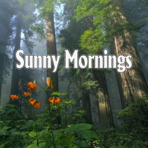 Peaceful Piano Sunny Mornings
