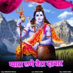 Pyara Lage Tera Darbar