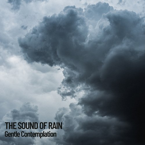 Rain Mantra cover art