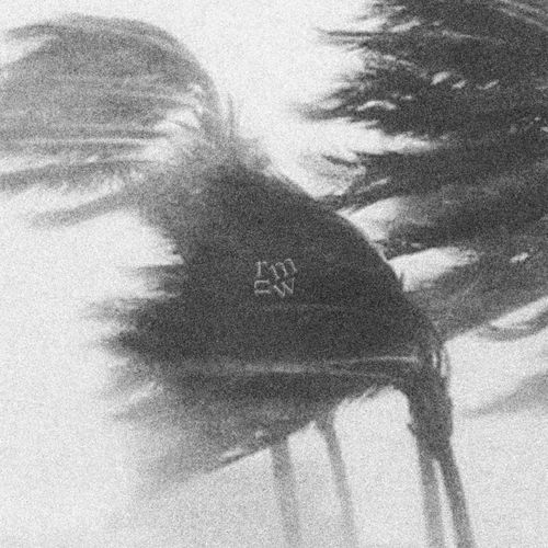 Tempest cover art