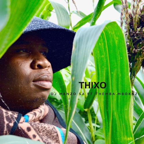 Thixo_poster_image