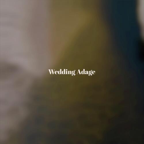 Allegretto Landmass cover art