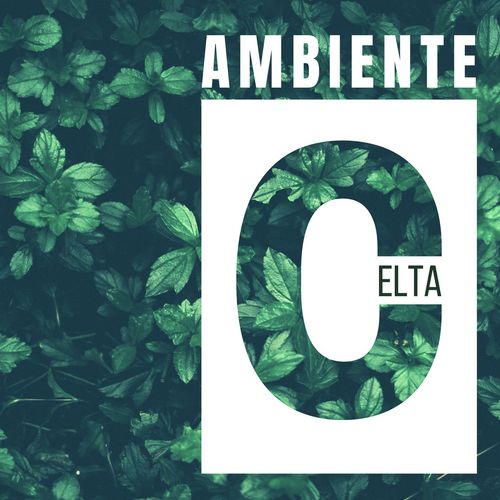 Música Celta Irlandesa cover art