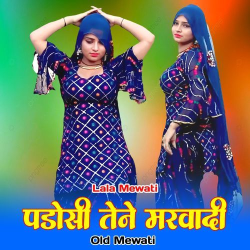 पडोसी तेने मरवादी ओल्ड मेवाती