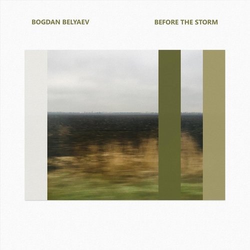 Before the Storm cover art