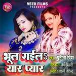 Bhool Gaila Yaar Pyar