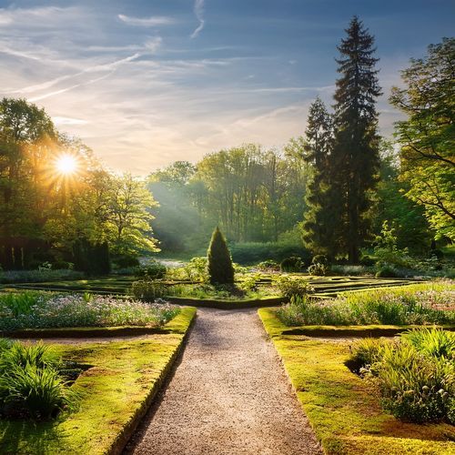 Calm Reflections Through Timeless Soundscapes