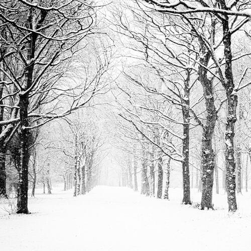 Car Driving Through a Snowy Night_poster_image