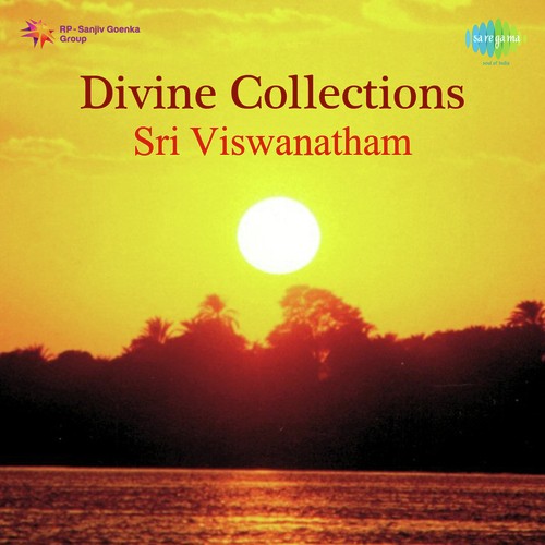 Divine Collections Sri Viswanatham