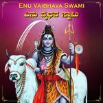 Enu Vaibhava Swami