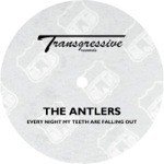 Every Night My Teeth Are Falling Out