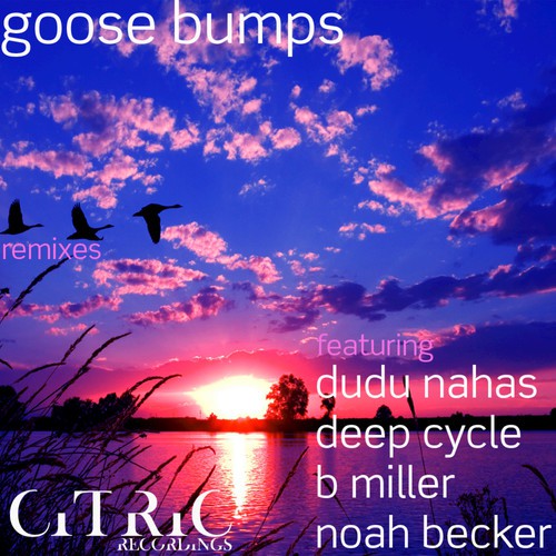Goose Bumps Remixes