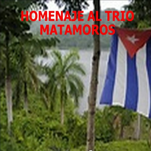 Homenaje al Trío Matamoros