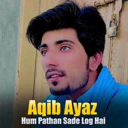 Hum Pathan Sade Log Hai