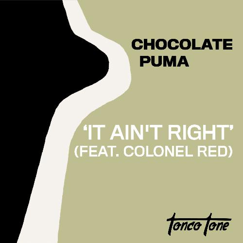 It Ain&#039;t Right (feat. Colonel Red)_poster_image